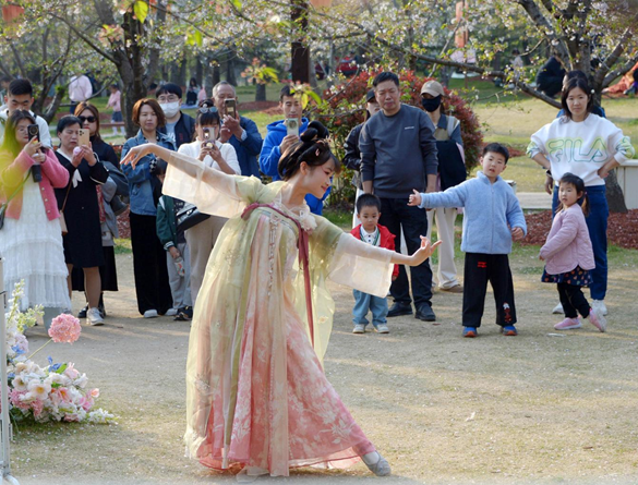 清明假期期間，上海顧村公園櫻花島上，游客在觀賞國風漢服快閃表演。（圖片來源：視覺中國）